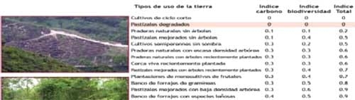 Alternativas de producción ganadera amigables con el medio ambiente. - Image 7