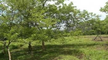 Alternativas de producción ganadera amigables con el medio ambiente. - Image 17