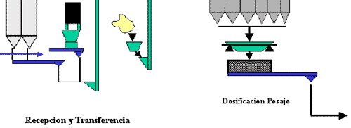 Diseño de plantas de alimentos balanceados especializadas para peces y crustáceos - Image 2