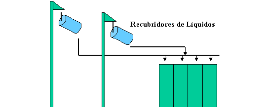 Diseño de plantas de alimentos balanceados especializadas para peces y crustáceos - Image 6