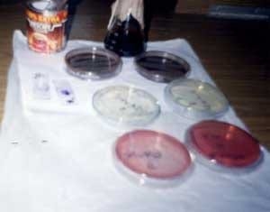 Monitoreo epidemiológico de la Mastitis Subclínica - Image 11