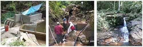 Sistema de Agua Electrolizada para la desinfección de agua en zonas rurales - Image 1