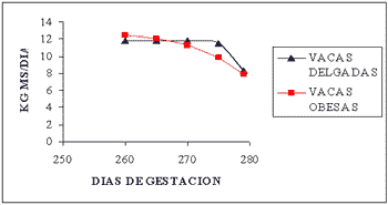 Problemas del periparto en vacuno lechero - Image 1