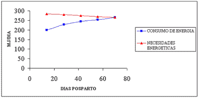 Problemas del periparto en vacuno lechero - Image 2