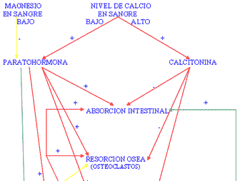 Problemas del periparto en vacuno lechero - Image 5