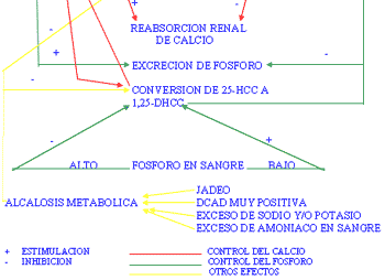 Problemas del periparto en vacuno lechero - Image 6