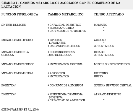 Problemas del periparto en vacuno lechero - Image 8