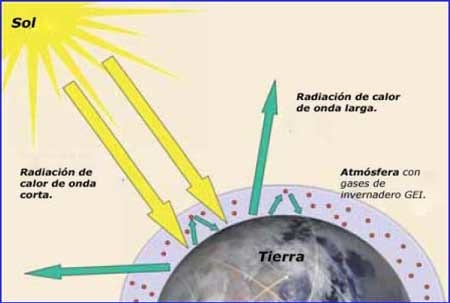 La raza eficiente y ecológica para producción de leche y carne. - Image 2