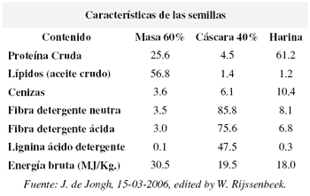Agro-Energía - Image 4