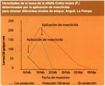 Manejo integrado de plagas - Image 6