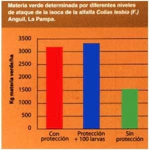 Manejo integrado de plagas - Image 7