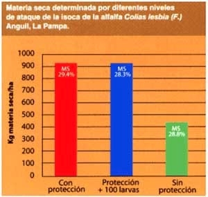 Manejo integrado de plagas - Image 8