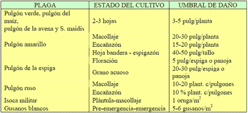 Manejo integrado de plagas - Image 13