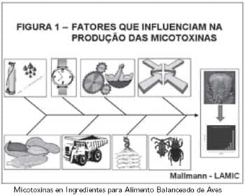Micotoxinas en Ingredientes para Alimento Balanceado de Aves - Image 1