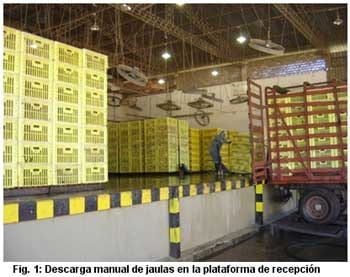 El ABC de la Plataforma de Recepción - Image 1