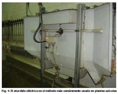 El ABC de la Plataforma de Recepción - Image 3