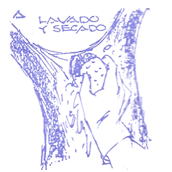 Técnicas de castración del cerdo - Image 2