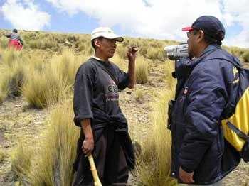 ¿El ''ichu'', una respuesta agropecuaria al cambio climático? - Image 4