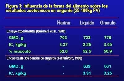 Utilización de alimentos líquidos para el ganado porcino - Image 11