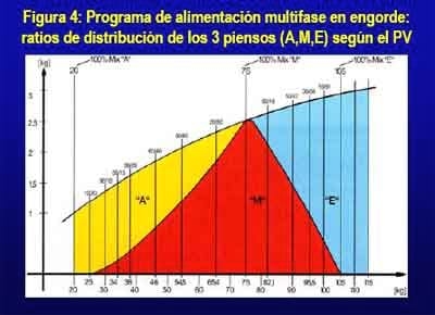 Utilización de alimentos líquidos para el ganado porcino - Image 12