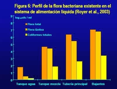 Utilización de alimentos líquidos para el ganado porcino - Image 14