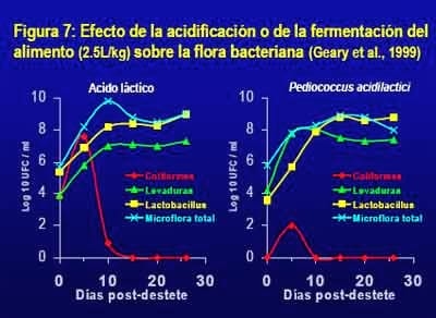 Utilización de alimentos líquidos para el ganado porcino - Image 15