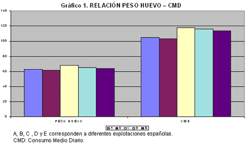 Factores influenciando el tamaño del huevo: manejo y alimentación - Image 1