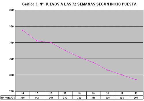 Factores influenciando el tamaño del huevo: manejo y alimentación - Image 3