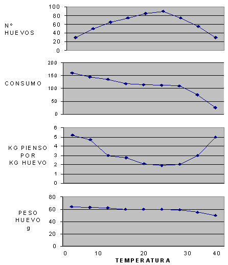 Factores influenciando el tamaño del huevo: manejo y alimentación - Image 8