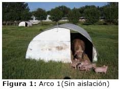 Diseño de las parideras, época y número ordinal de partos: Efectos sobre la productividad de las cerdas y sus camadas en un sistema de producción porcina al aire libre - Image 1