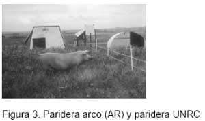 Tipo de parideras y productividad de las cerdas y sus camadas en un sistema de producción porcina al aire libre - Image 3
