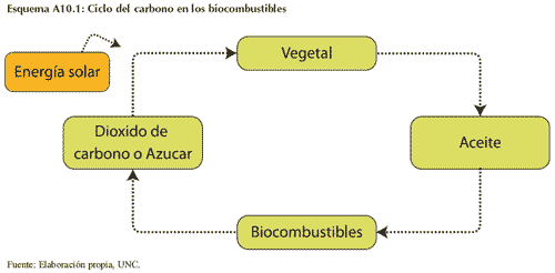 Anexo 10.1: Una alternativa más: los biocombustibles desde la óptica de la Universidad Nacional de Córdoba (U.N.C) - Image 1