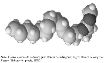 Anexo 10.1: Una alternativa más: los biocombustibles desde la óptica de la Universidad Nacional de Córdoba (U.N.C) - Image 2