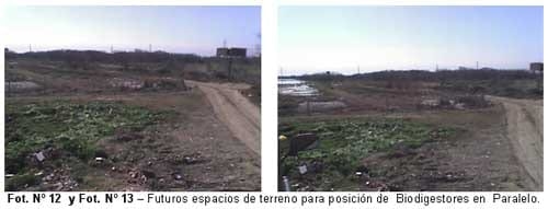 Planta modelo de biogás y compost en frigorifico bovino de 1600 animales - Image 9
