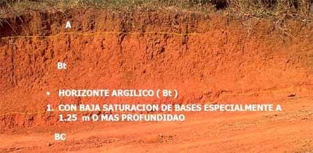Sistemas de producción agroforestal de ultisoles del pie de monte de Cali. Aplicable a la zona andina - Image 1