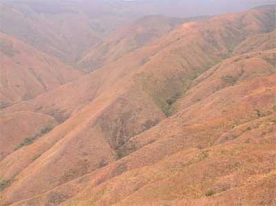 Sistemas de producción agroforestal de ultisoles del pie de monte de Cali. Aplicable a la zona andina - Image 8