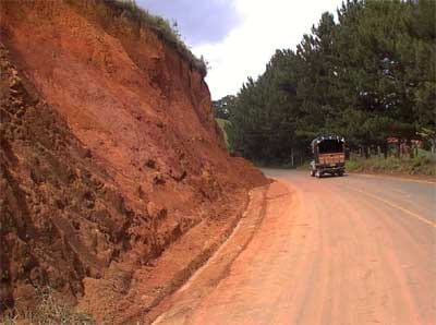 Sistemas de producción agroforestal de ultisoles del pie de monte de Cali. Aplicable a la zona andina - Image 10