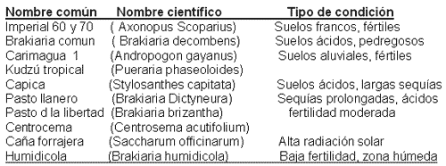 Alternativas para sostener su ganado en épocas críticas - Image 2