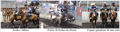 Si de Herrar se trata, Errar también es Humano. III Parte - Image 5