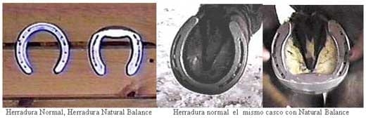 Si de Herrar se trata, Errar también es Humano. III Parte - Image 9