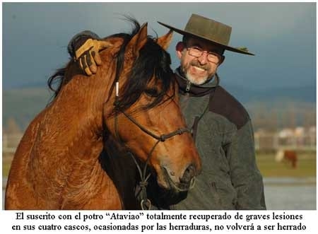 Si de Herrar se trata, Errar también es Humano. III Parte - Image 11
