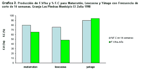 Alternativas de alimentación para bovinos con recursos forrajeros no tradicionales - Image 13