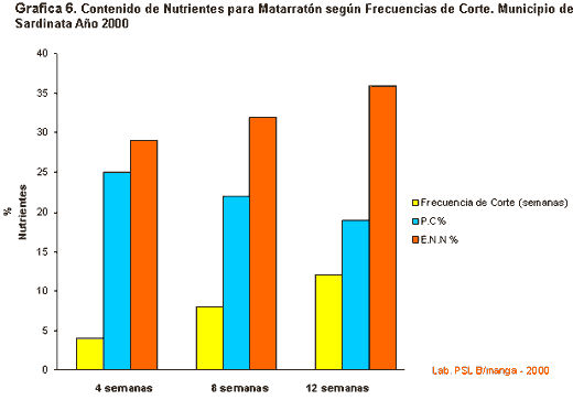 Alternativas de alimentación para bovinos con recursos forrajeros no tradicionales - Image 17