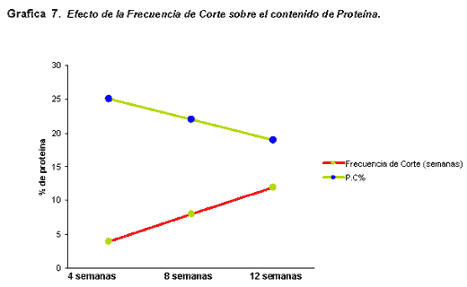 Alternativas de alimentación para bovinos con recursos forrajeros no tradicionales - Image 18