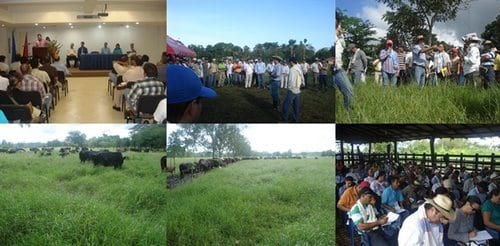 La ganadería racional toma fuerza en América Latina - Image 4