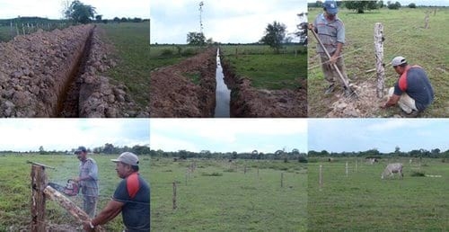 La ganadería racional toma fuerza en América Latina - Image 8