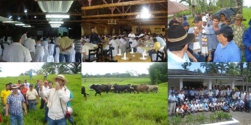 La ganadería racional toma fuerza en América Latina - Image 5