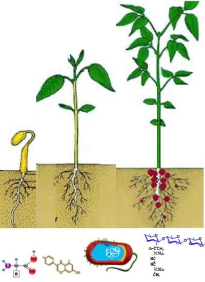 Bio-inductores - Image 1