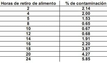 Las horas más importantes del pollo de engorde - Image 1