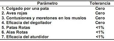Las horas más importantes del pollo de engorde - Image 4